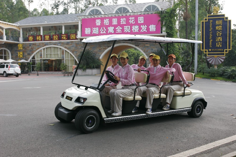 A系  高爾夫球車